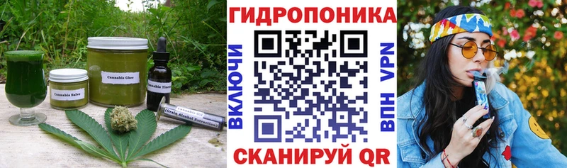 Купить закладки  Элиста  Canna-Cookies конопля 