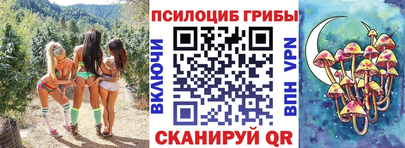 Купить закладки  Элиста  Галлюциногенные грибы Cubensis 